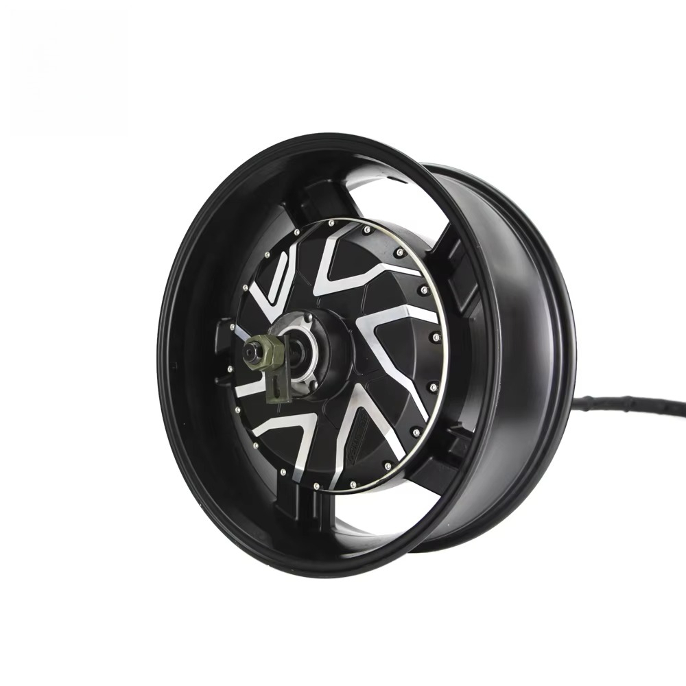 12000W Electric Motorcycle Hub Motor - Vendita calda: 17X6.0 pollici 273 12000W