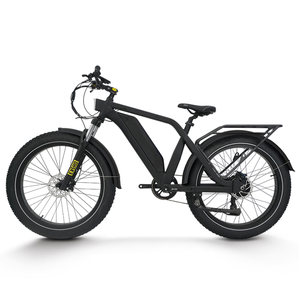Bicicletta Elettrica per Adult - 48V 1500W Rear Hub Motor With Battery recensione e prezzo