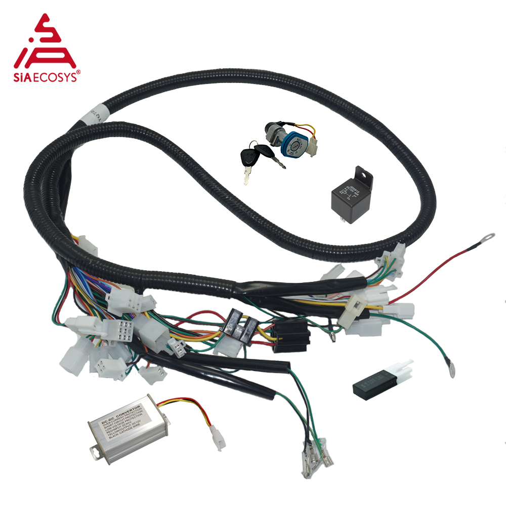 Kit Completo per Scooter Elett - Mid Drive Conversion Kit 1000W recensione e prezzo