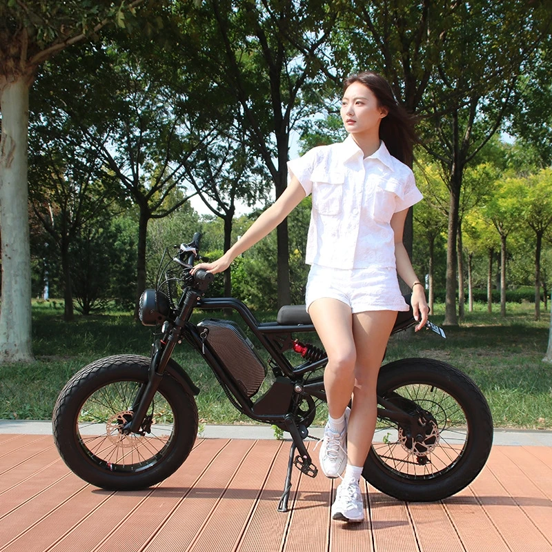 Bicicletta elettrica SXLL con  - 48V 1500W Rear Hub Motor With Battery recensione e prezzo